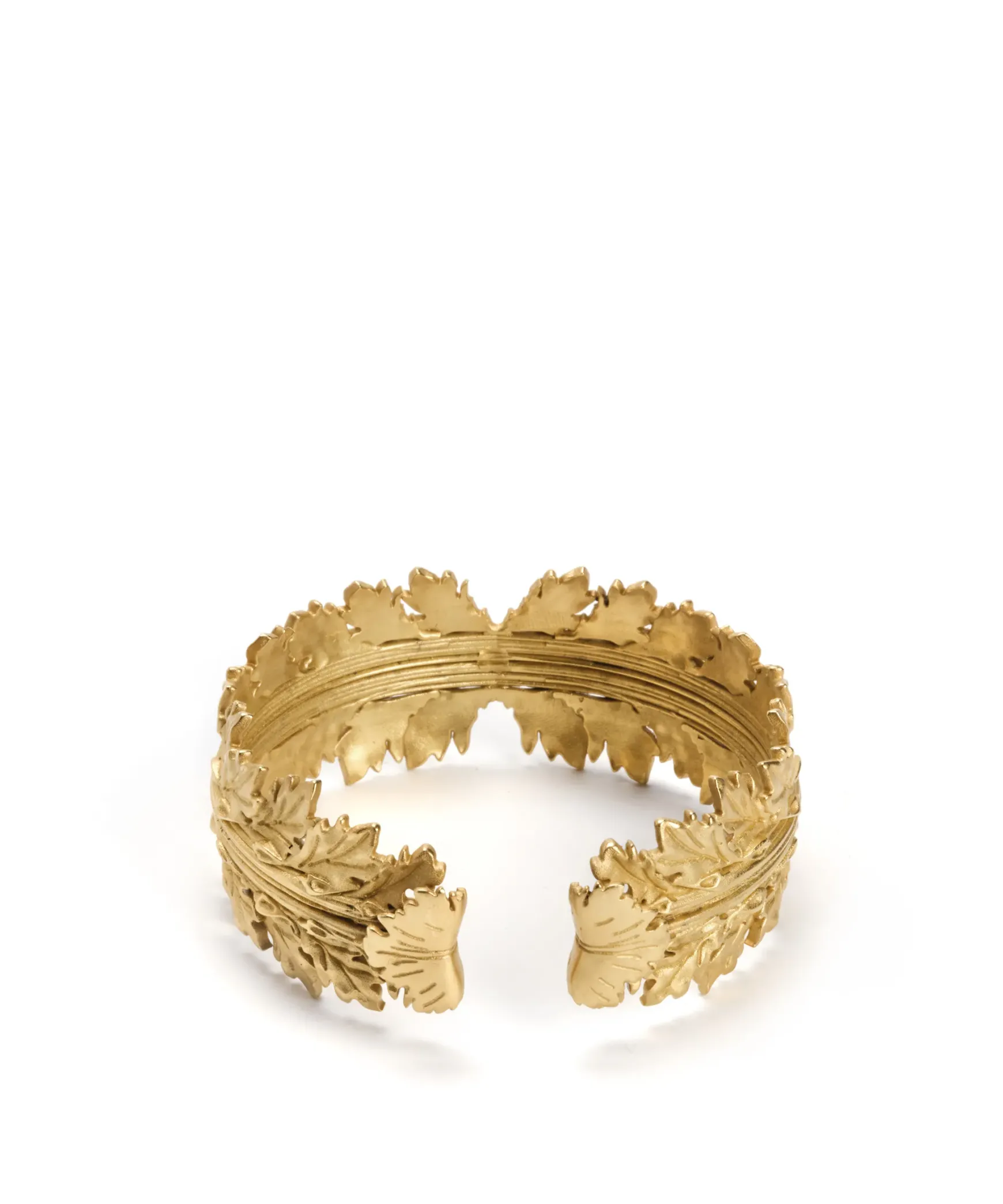 ACANTHUS