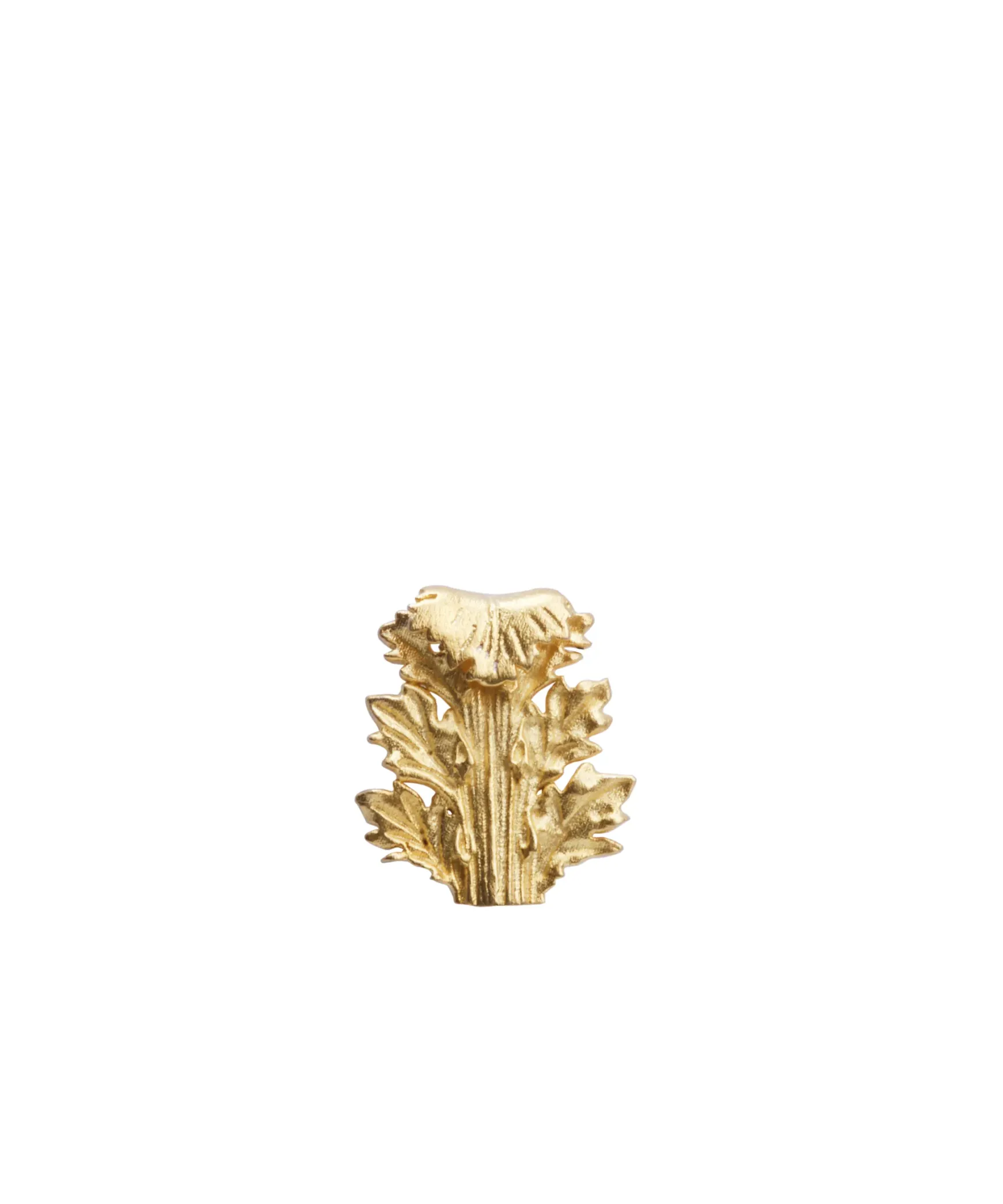 ACANTHUS